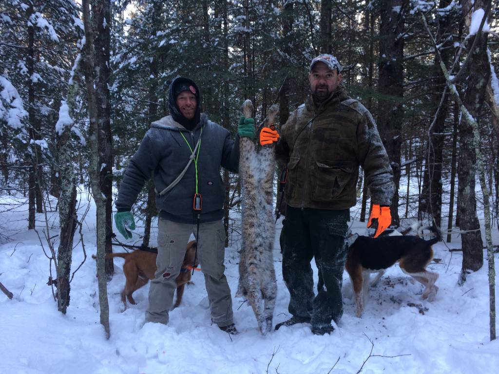Clam Lake, WI Grouse Guide