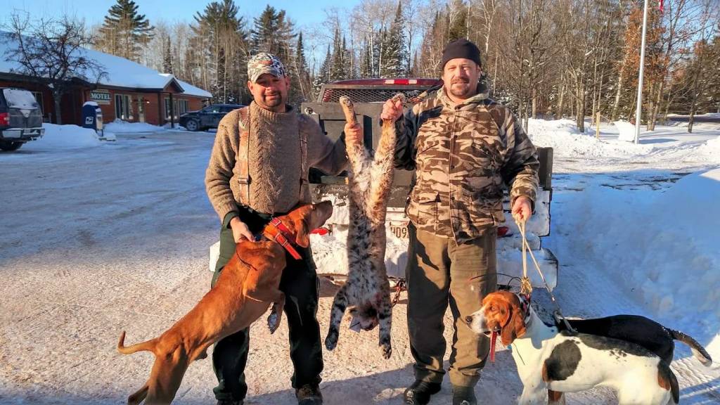 Wisconsin Bobcat Hunts